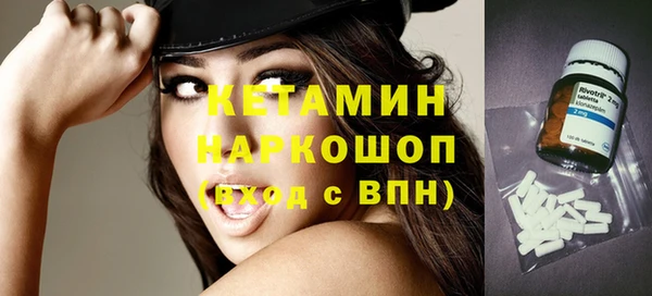шишки Няндома