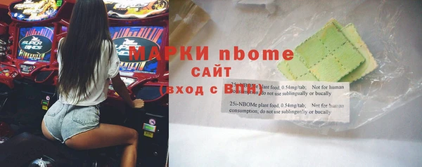 шишки Няндома