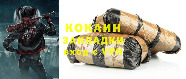 шишки Няндома