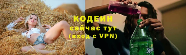 шишки Няндома