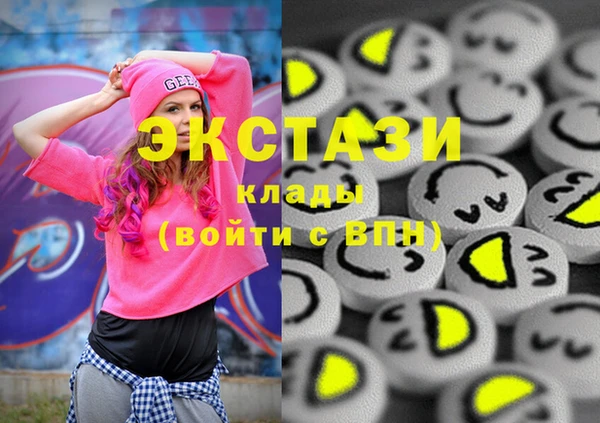 шишки Няндома