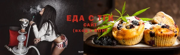 шишки Няндома