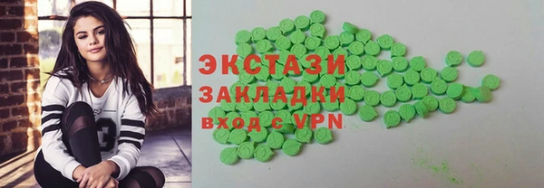 шишки Няндома