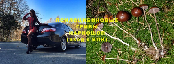 ПСИЛОЦИБИНОВЫЕ ГРИБЫ Нягань