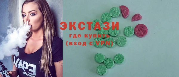 шишки Няндома
