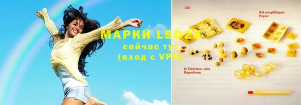шишки Няндома