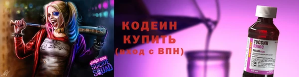 шишки Няндома