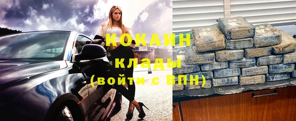 шишки Няндома
