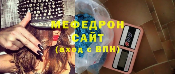 шишки Няндома