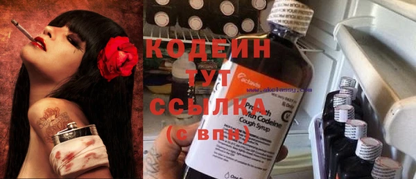 шишки Няндома