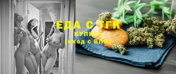 шишки Няндома