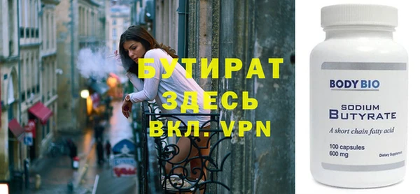 шишки Няндома