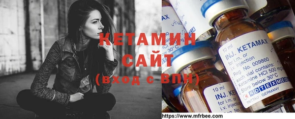 шишки Няндома