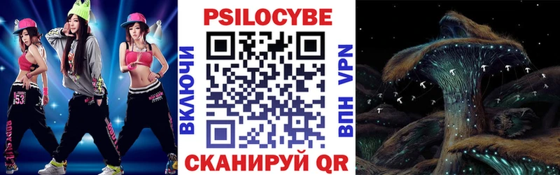 Галлюциногенные грибы Psilocybine cubensis  Калининец 