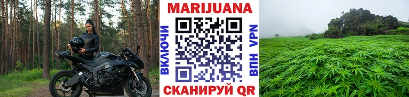 Конопля планчик Калининец
